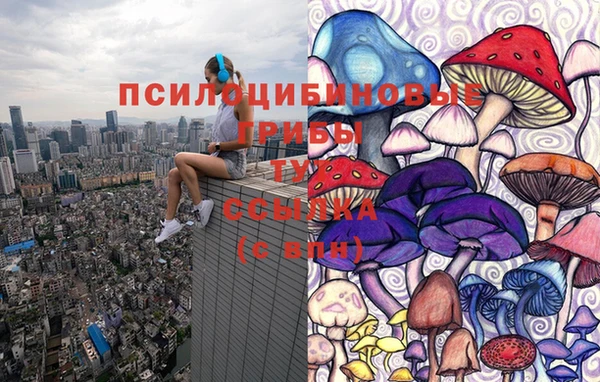 сатива Алексин