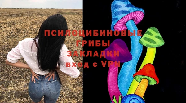 сатива Алексин