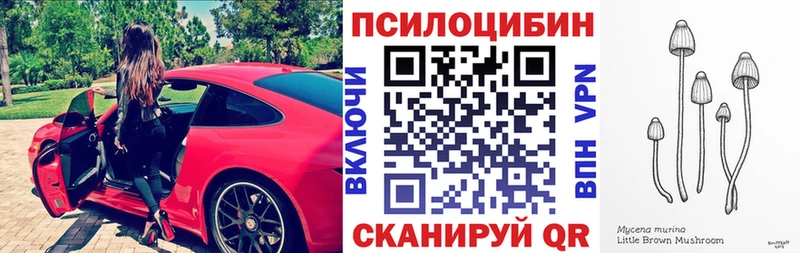 Псилоцибиновые грибы ЛСД  Карабулак 