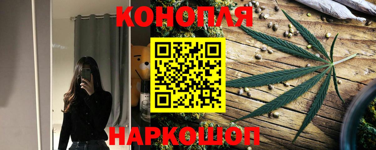 Канабис сатива Карабулак